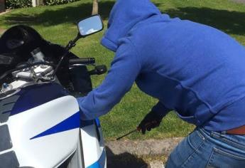 Motocicletas son las más robadas en Mazatlán; hay más de 200 carpetas de investigación abiertas