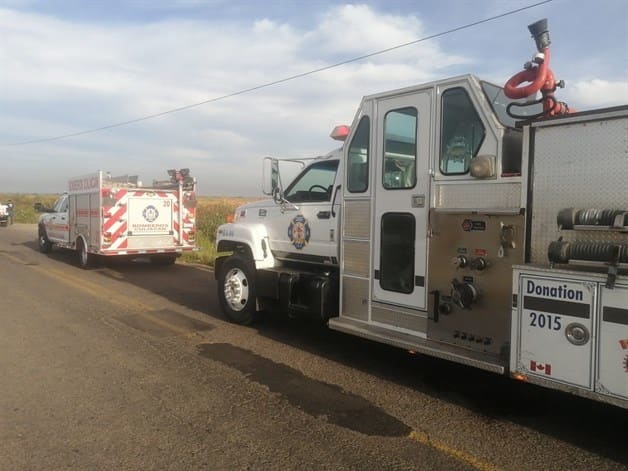 Imagen Placeholder Imagen Placeholder