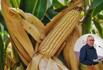 Acudirá Rocha Moya a la Ciudad de México para revisar el tema de la comercialización del maíz