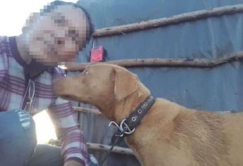 Denuncian envenenamiento masivo de perritos y gallinas en Navolato