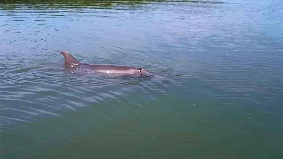 FOTO: Rita Sánchez.