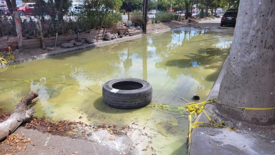 Vecinos de Arboledas exigen solución urgente por derrame de aguas negras a gerente de JAPAMA