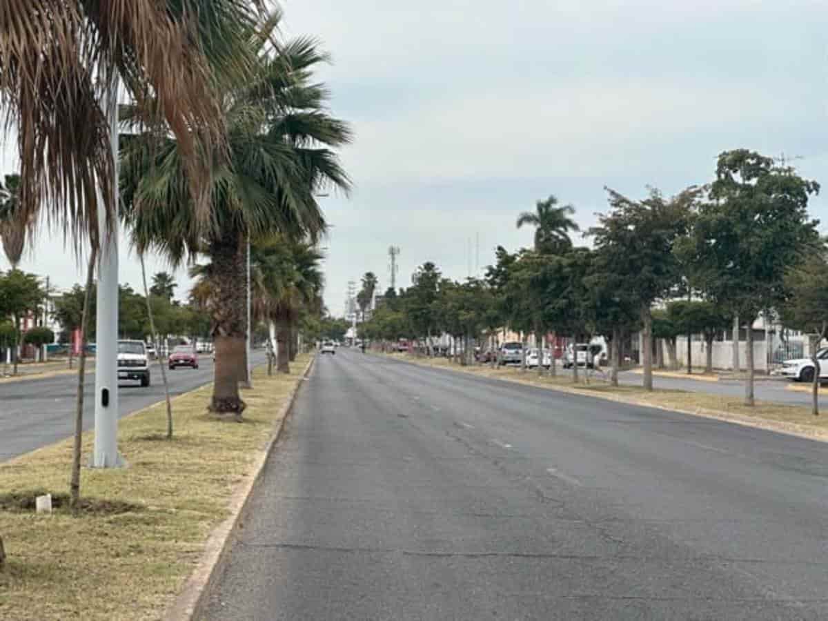 Foto:Archivo/LuzNoticias.