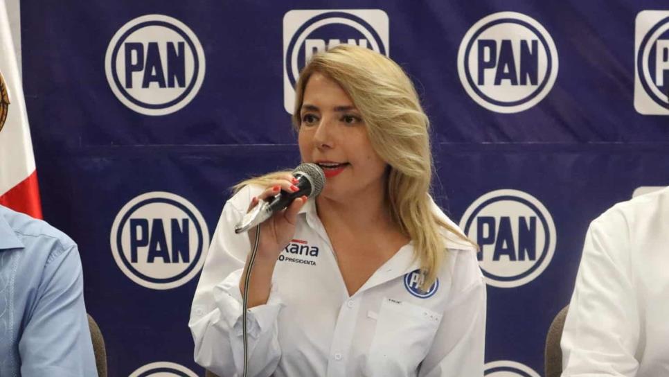 Renuncia de la diputación local del distrito 24 fue un acuerdo político, aclara PAN