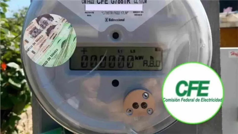 CFE subsidio en Sinaloa: ¿Cuándo inicia y en qué consiste?. | FOTO: Temática.