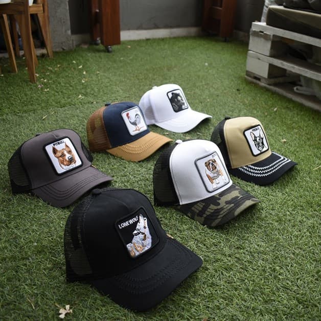 Imagen Placeholder Imagen Placeholder