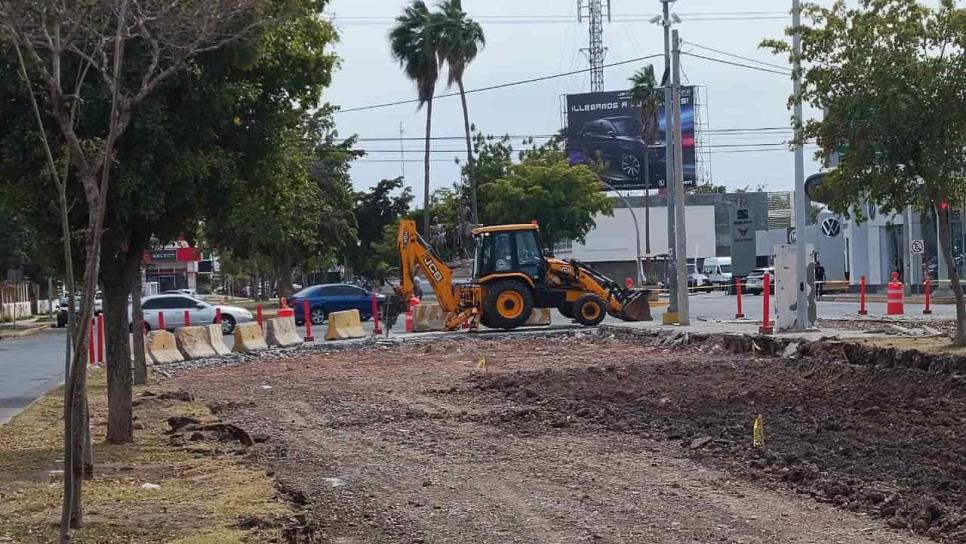 Autoridades de Ahome anuncian plan ambiental para reubicar árboles del bulevar Adolfo López Mateos
