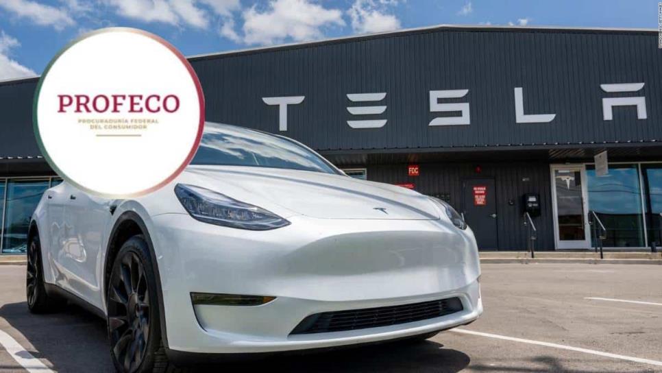 Profeco emite alertas sobre los vehículos Tesla comercializados en México