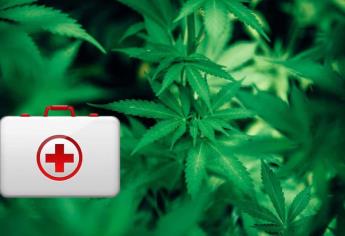 Hoy es Día de la Marihuana y estos son sus beneficios, según la ciencia