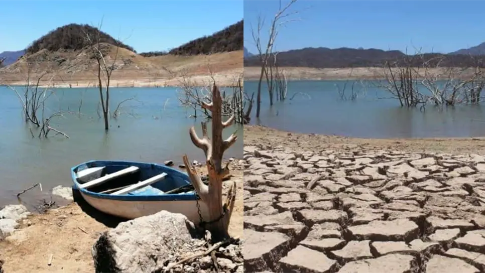 FOTO: Archivo/LuzNoticias.