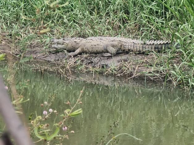 Imagen Placeholder Imagen Placeholder