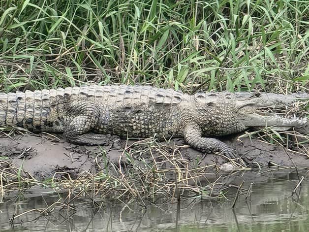 Imagen Placeholder Imagen Placeholder