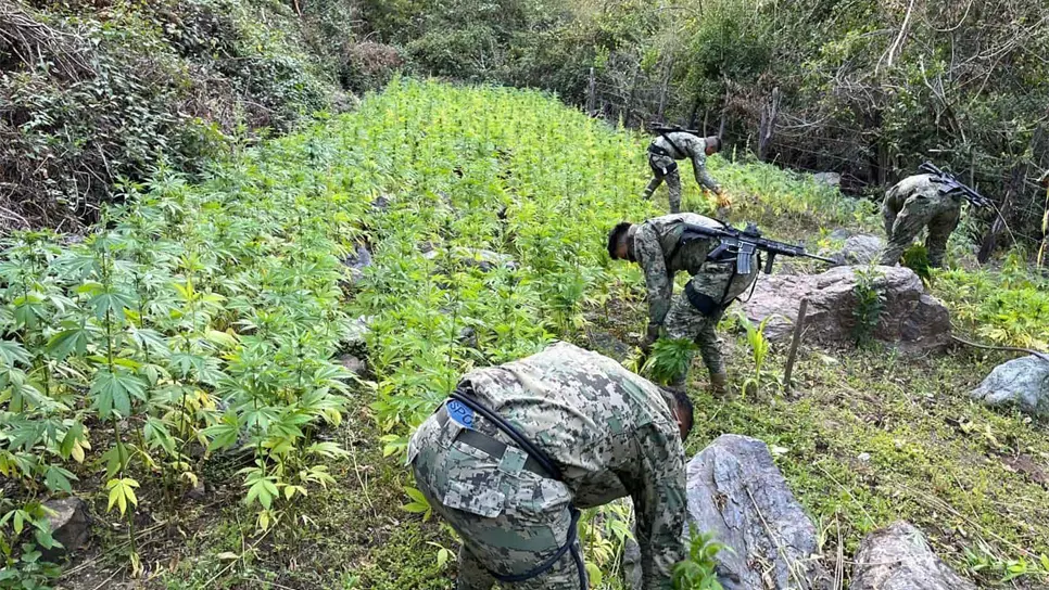 Los elementos de la Marina en el operativo.