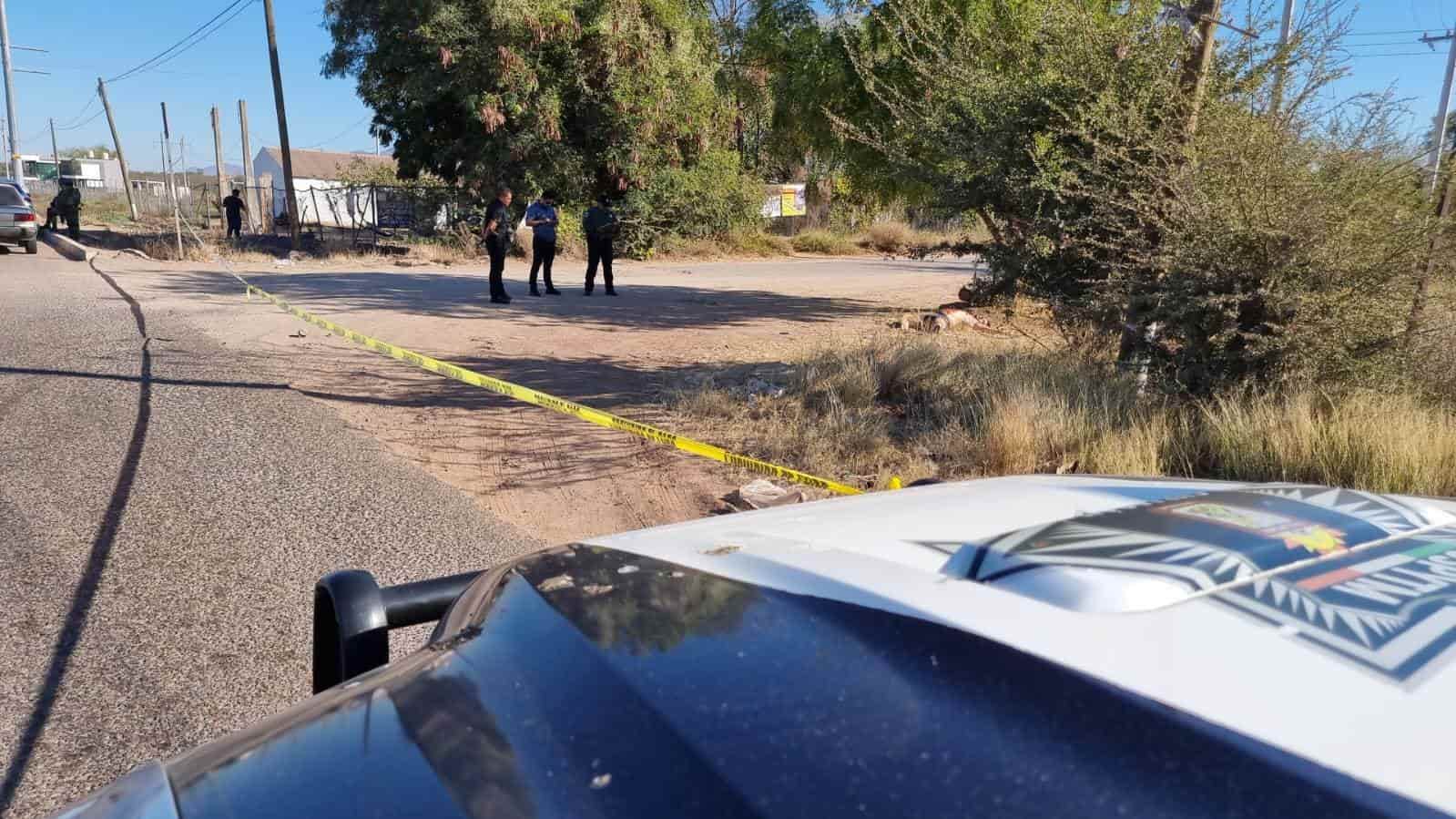 FOTO: Luis Ramírez.