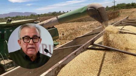 Precio del maíz se resuelve entre hoy o mañana, afirma Rocha Moya 
