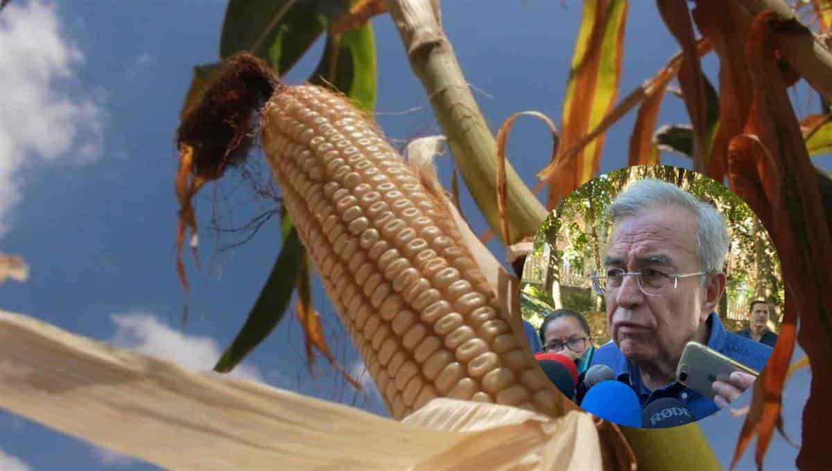 Se espera que el precio quede establecido esta semana. FOTO: Luz Noticias