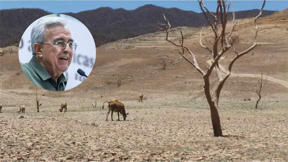 Gobierno de Sinaloa construye represas en zonas afectadas por la sequía. | FOTO: Temática.