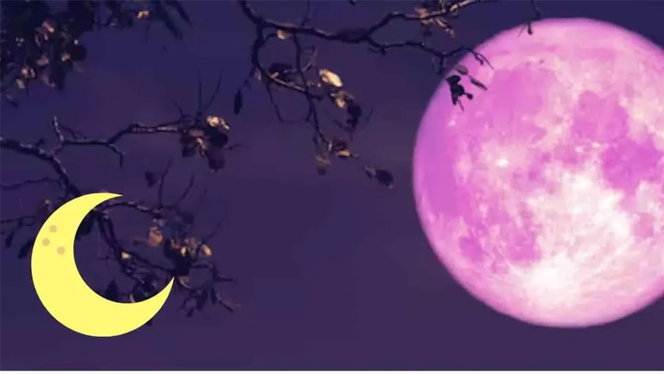 Luna Rosa. | FOTO: Temática.