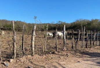 Por sequía 12 pipas abastecen de agua a comunidades de la zona norte de Mazatlán