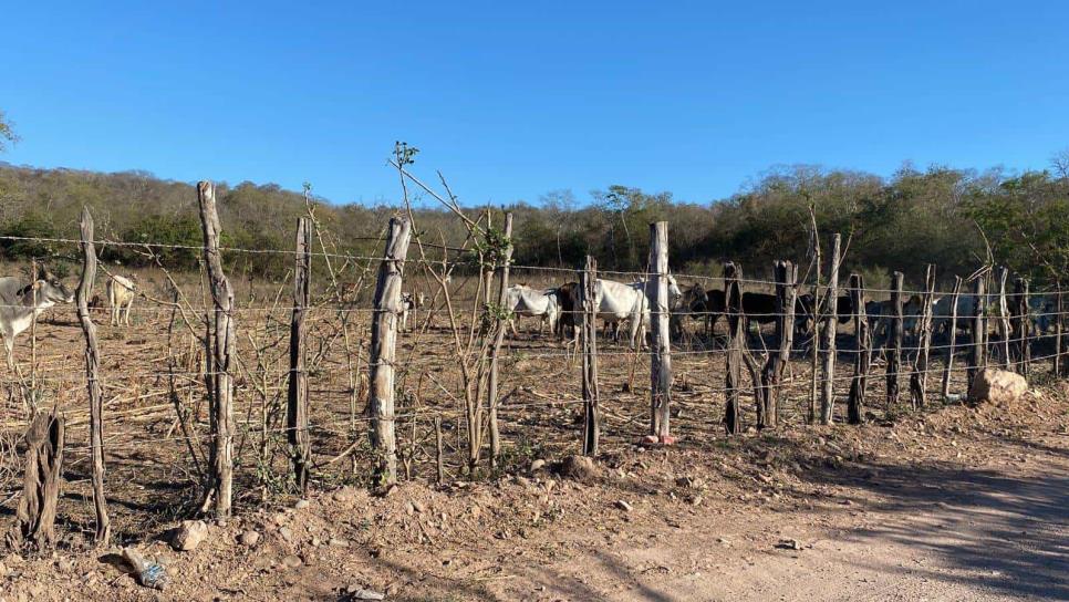 Por sequía 12 pipas abastecen de agua a comunidades de la zona norte de Mazatlán