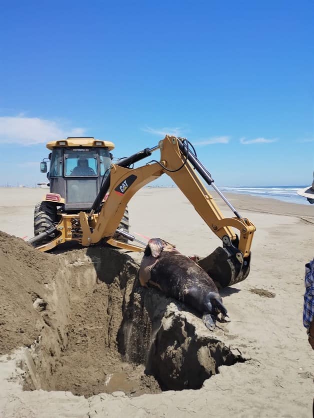 Imagen Placeholder Imagen Placeholder