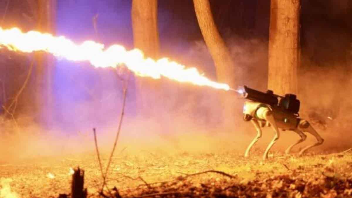 FOTO: Throwflame