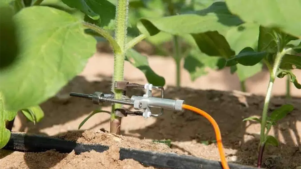 FOTO: Métodos eficientes de riego.