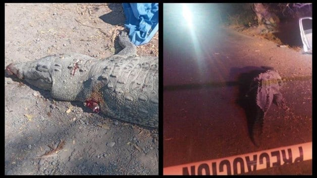 Imagen Placeholder Imagen Placeholder