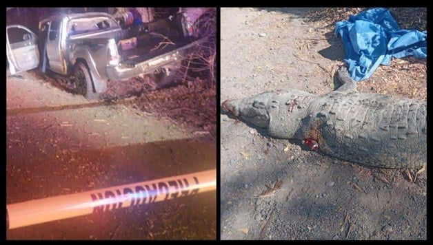 Imagen Placeholder Imagen Placeholder