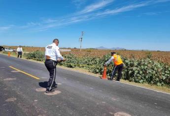 Don Manuel de 76 años de edad muere atropellado en la Palma Navolato