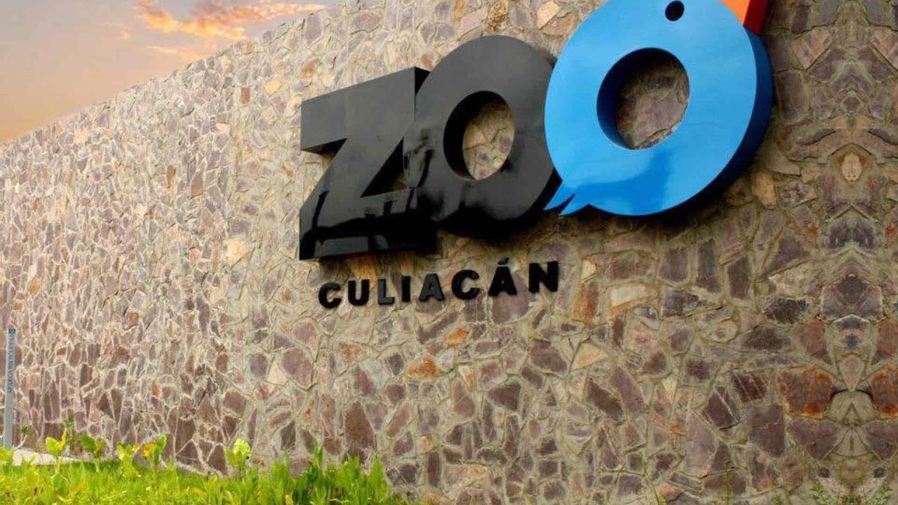 Zoológico gratis por el Día del Niño este domingo, 28 de abril en Culiacán