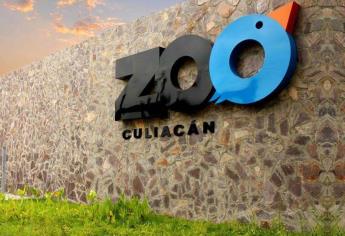 Zoológico gratis por el Día del Niño este domingo, 28 de abril en Culiacán