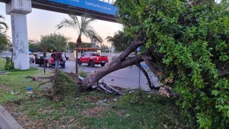Conductor pierde el control y derriba varios árboles en Culiacán