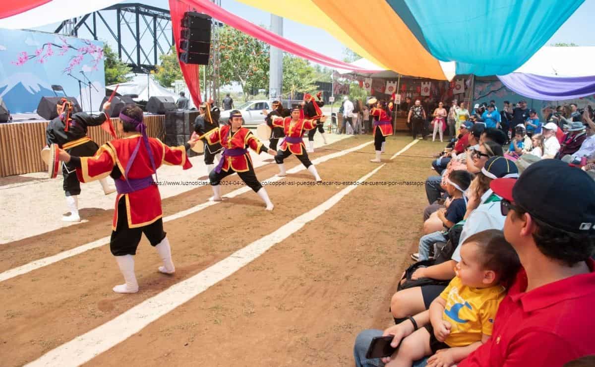 Celebran el Día del Niño en Culiacán al estilo japonés
