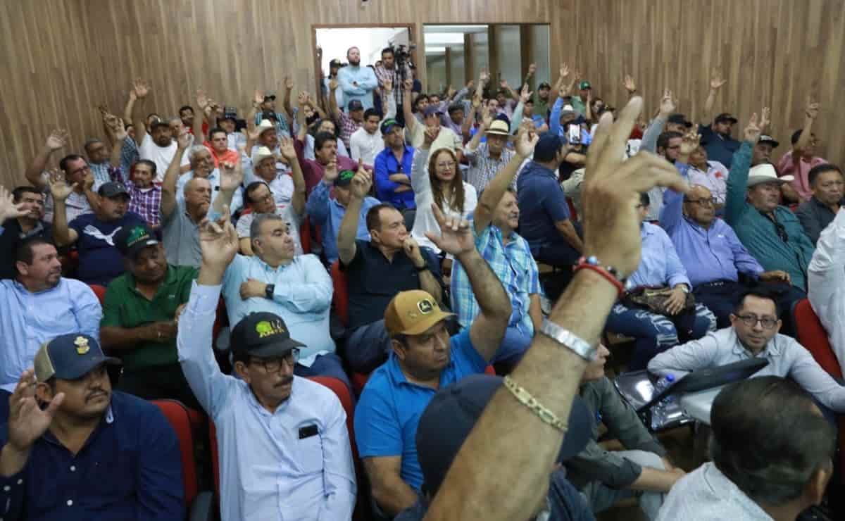 Bodegueros respaldan a Rocha Moya con el nuevo esquema de comercialización del maíz