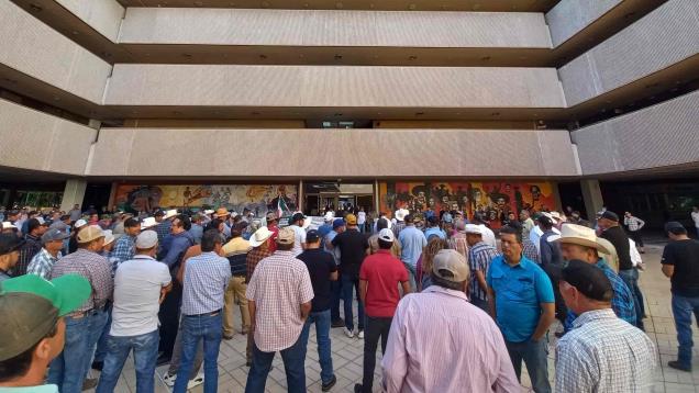 ¡Sinaloa arderá!, sentencian productores inconformes por el precio del maíz