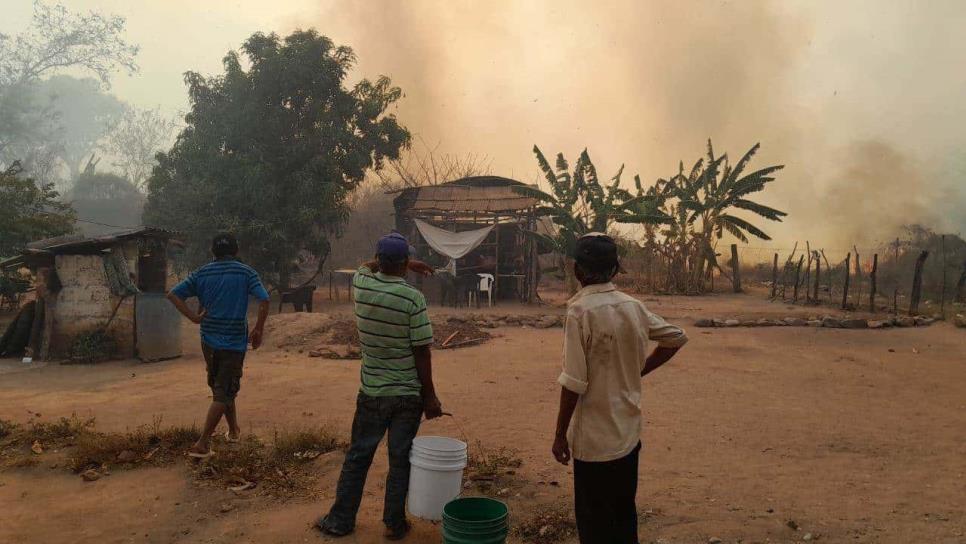 Incendio forestal se propaga en la sierra de Mazatlán tras quema de maleza