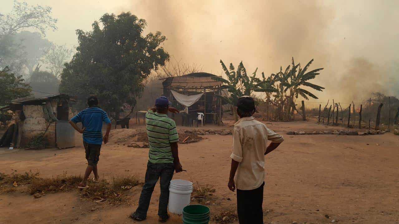 Los incendios forestales han incrementado en Sinaloa. FOTO: Sebides.