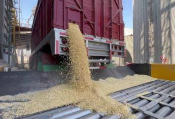 Si toman casetas habrá consecuencias, dice Jaime Montes a productores de maíz 