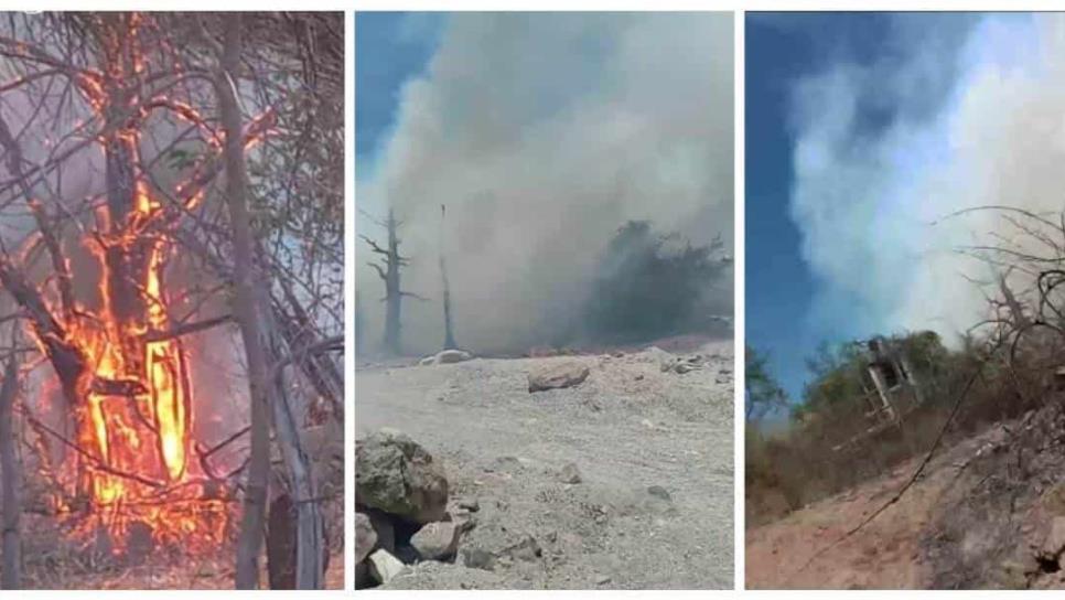 Incendio arrasa con corrales y cercas en Las Guayabas, en la Sierra de Choix