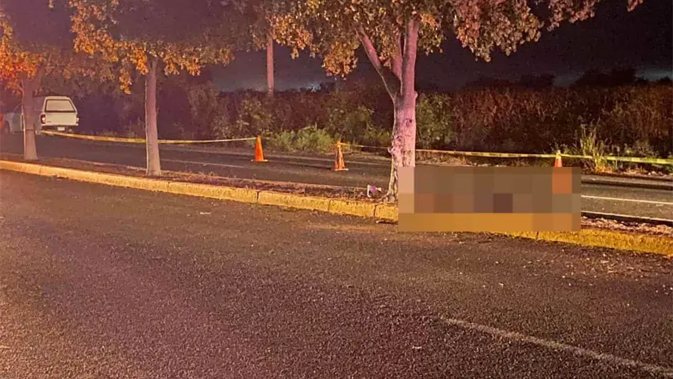 Los hechos ocurrieron durante la madrugada de este jueves. FOTO: Luz Noticias