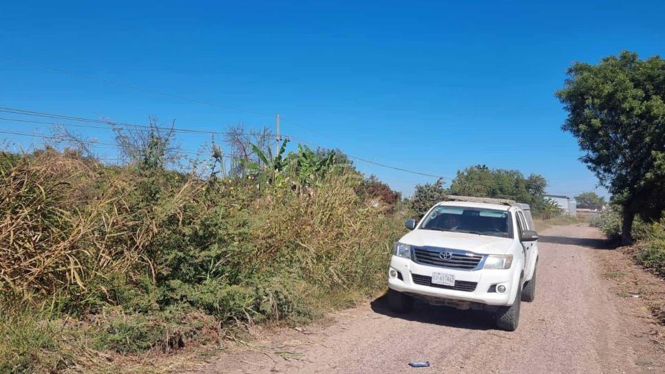 Otra osamenta es localizada en Culiacán; ahora para la zona de Cedros