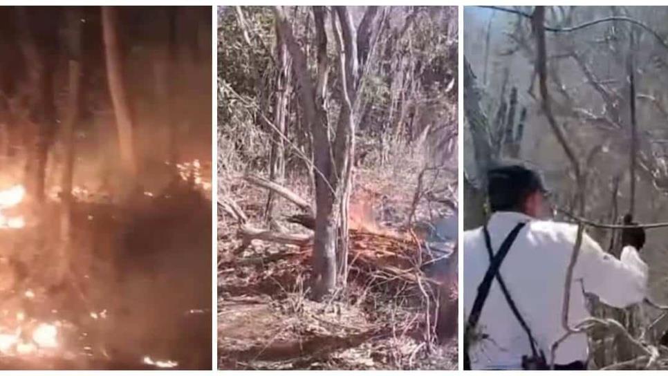 Par de incendios forestales en sierra de Mazatlán afectan 185 hectáreas: Protección Civil 