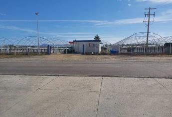 Paran labores en laboratorio de camarón en El Rosario; exigen pago atrasado desde hace más de un mes 