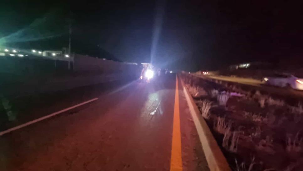 Rescatan a dos menores que caminaban solos por la carretera a Costa Rica