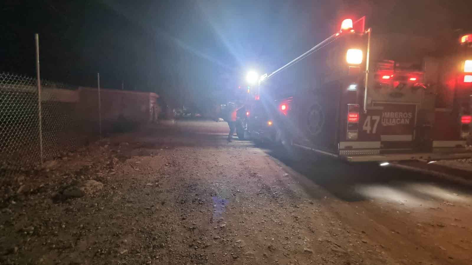 La vaca perdió la vida en el hecho. FOTO: Luz Noticias