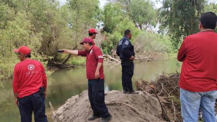 Alertan a pobladores de Guasave por la presencia de dos cocodrilos en el Río Sinaloa