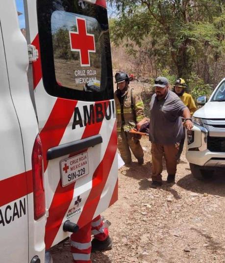 Buscaban hierba para curar la diabetes y los atacan abejas en Culiacán; hay 3 heridos