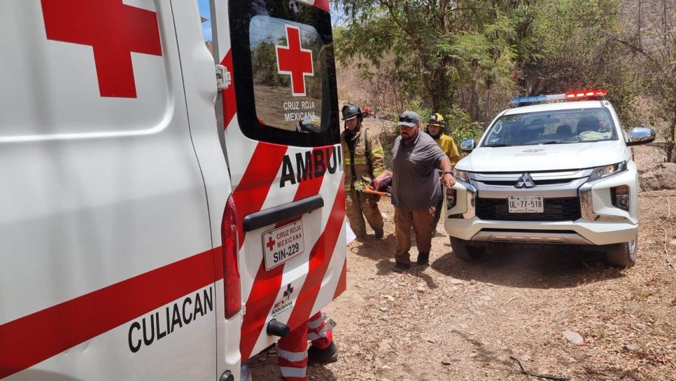 Buscaban hierba para curar la diabetes y los atacan abejas en Culiacán; hay 3 heridos