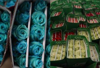 Se mantiene precio de las flores en Ahome